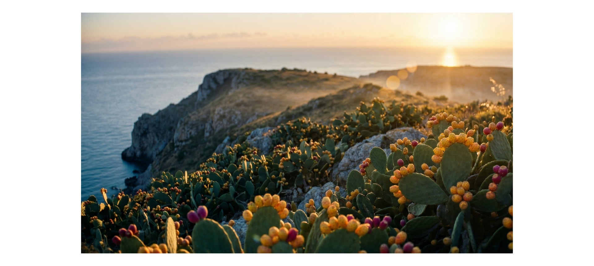 custom-slideshow-image-desktop-block_khWUeT